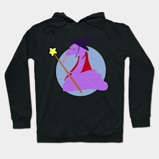 swizard Hoodie